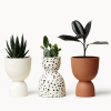 Speckled Stacked Planters | Vases & Vessels by Franca NYC. Item composed of ceramic compatible with boho and minimalism style