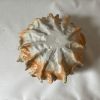 Sea Urchin Bowl | Decorative Bowl in Decorative Objects by AA Ceramics & Ligthing. Item made of ceramic
