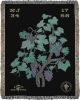 VIN - Ambrosia Grape Vine Jacquard Woven Blanket for the Gar | Linens & Bedding by Sean Martorana. Item composed of cotton