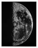Black and White Moon Print Set, Moon Art, Art for office | Prints by Capricorn Press. Item made of paper works with boho & minimalism style