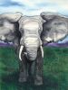 Elephant | Prints by Brazen Edwards Artist. Item composed of canvas & paper