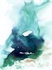 Saltwater | Prints by Brazen Edwards Artist. Item composed of canvas and paper