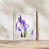 Photograph • Flowers, Purple Iris, Garden, Nature Photograph | Photography by Honeycomb. Item composed of metal and paper in minimalism style