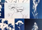 Alpine Botanical Quilt One | Collage in Paintings by Kathy Ferguson Art