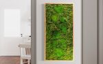 Plant Wall Art Moss and Fern Sculpture, Long Horizontal | Living Wall in Plants & Landscape by Sarah Montgomery