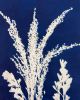 Sagebrush | Prints in Paintings by Kathy Ferguson Art