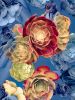 Santa Monica Succulents Photomontage- 4 Versions | Photography by Joanie Landau
