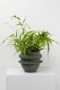 Bud Planter | Vases & Vessels by Capra Designs