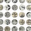 Anthesis | Collage in Paintings by Amelia Coward