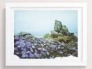 Flowers Dressed In Purple | Photography by She Hit Pause. Item composed of paper
