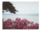 Rest our eyes open | Photography by She Hit Pause. Item composed of paper