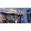 AM4004 Angled Windfall | Pendants by Alan M