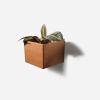 Diamond Self-Watering, Wall-Mounted Planter | Vases & Vessels by Formr