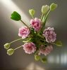 Bouquet 36 in Lemongrass | Photography by Joanie Landau