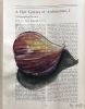 Gift of the Wasp | Watercolor Painting in Paintings by Grange Home