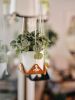 Small Leather Plant Hammock | Plant Hanger in Plants & Landscape by Keyaiira | leather + fiber | Artist Studio in Santa Rosa. Item made of cotton with leather