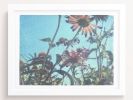 Leaning like flowers towards sunlight | Photography by She Hit Pause. Item made of paper