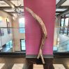 Large Driftwood Art Sculpture "Confident Strut" | Sculptures by Sculptured By Nature  By John Walker. Item made of wood compatible with minimalism style