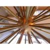 Alan Mizrahi DV2072 Glass Sputnik | Chandeliers by Alan Mizrahi Lighting Design