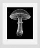 EXPOSED AUTUMN — MUSHROOM | Decorative Objects by Exposedart
