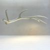 Elk Antler Linear Suspension - White | Pendants by Farmhaus + Co.. Item made of synthetic