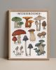 Woodland Mushrooms - White Edition | Prints by The Ugly Cat Studio