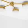 Celeste Ethereal | Chandeliers by DESIGN FOR MACHA. Item composed of steel & glass
