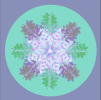 Botanical mandala #5 | Photography by Louise O'Gorman