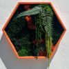 Hexagon Botanical Gardens | Wall Sculpture in Wall Hangings by Moss Art Installations