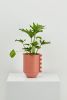 Zip Feature Planter | Vases & Vessels by Capra Designs