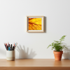 Golden Memory — Abstract Botanical Photography Print | Photography by Ava Bock Art