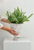 Funnel Planter | Vases & Vessels by Capra Designs