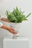 Funnel Planter | Vases & Vessels by Capra Designs