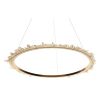 Alan Mizrahi DR1115L Prometheus Ring | Pendants by Alan Mizrahi Lighting Design