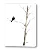 Raven in a Tree | Prints by Brazen Edwards Artist. Item composed of canvas and paper