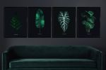 Dark Botanical Wall Art Bundle, Moody Printable Plant Set, 21 Botanical Prints, Black Floral Gallery Wall, Digital Download Home Decor | Digital Art in Art & Wall Decor by Colorize Paper Studio
