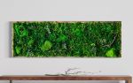 Office Wall Art Living Walls Indoor, Preserved Moss Therapy | Plants & Landscape by Sarah Montgomery