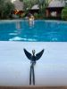 Black Patina Large Angel figure 4.75 inch | Sculptures by YENNY COCQ