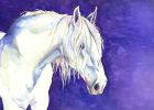 Shay | Prints by Brazen Edwards Artist. Item made of canvas & paper