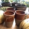 COMFORT CUP in Crème Brûlée Glaze | Drinkware by BlackTree Studio Pottery & The Potter's Wife