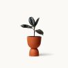 Terracotta Stacked Planters | Vases & Vessels by Franca NYC. Item composed of ceramic compatible with boho and minimalism style