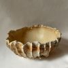 Sea Urchin Bowl Large | Decorative Bowl in Decorative Objects by AA Ceramics & Ligthing. Item composed of ceramic
