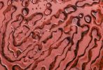 Fingerprint Mars Wall Decor | Decorative Objects by PlusObject