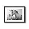 American Dream - Horizontal | Prints by Western Mavrik