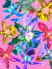 Orchid You Not - 6 Versions | Photography by Joanie Landau