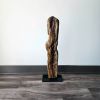 Driftwood Art Sculpture "The Lepidote" | Sculptures by Sculptured By Nature  By John Walker. Item composed of wood in minimalism style