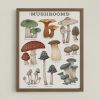 Woodland Mushrooms | Prints by The Ugly Cat Studio