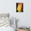 Floral Wall Art: Dew on Yellow Rose Botanical Nature Photo | Photography by PIPA Designs