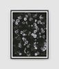 Large Flower Art, Flower Poster, Flowery Art, Goth Art | Prints by Capricorn Press. Item composed of paper compatible with boho and minimalism style
