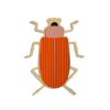 Bug #11 | Wall Hangings by Umasqu